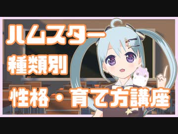 【解説動画】ハムスターは種類ごとに性格や育て方が変わる？【YUMU】