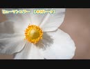 【ニコカラ】ヒューマンエラー【 on vocal 】