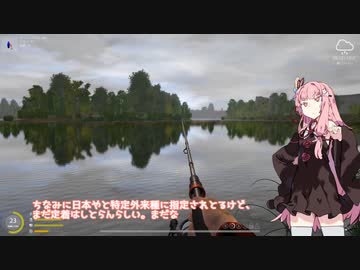 茜お姉ちゃんが川釣りのバイトをする話　6月号
