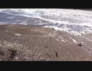 【ゾゾマリン】希望の泡立ち