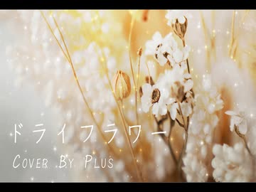 ドライフラワー【初めての歌ってみた】