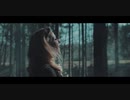 Faun & Eluveitie - Gwydion