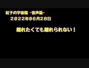 紅子の宇宙船 －音声版－ 2022年06月28日