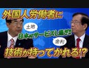 【移民問題】日本人はお人好しすぎ！？というより考えてない…安易な移民受け入れはNG！　前編　政党DIY→参政党 松田学×武田邦彦】 #167