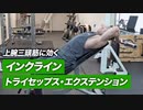 【筋トレ】インクライン・トライセップス・エクステンションのやり方 | 上腕三頭筋に効きまくる【ビーレジェンド プロテイン】