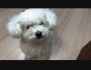 お久しぶりのたぴちゃあああああん！！！
