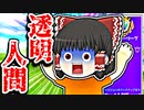 アリーナで敵が建築透けて入ってきた【フォートナイトゆっくり実況】