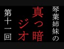 琴葉姉妹の真っ暗ジオ第十一回
