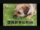 遭難鉄拳伝Rim【RimWorld】第5話