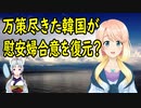 【韓国の反応】韓国「そうだ！慰安婦合意を復元すれば簡単に問題解決だ！」【世界の〇〇にゅーす】