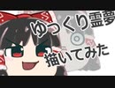 ゆっくり霊夢描いてみた＋α【メイキング】