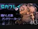 【二人実況】ソウルライク２Ｄアクションを協力プレイでクリアするって言ってんの！｜ソルトアンドサクリファイス　＃3