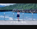 【ダンゴ】ただ君に晴れ 踊ってみた【夏】