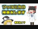 【ゆっくり茶番】魔理沙のツッコミ力検査【ゆっくり茶番劇】