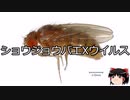 【ゆっくり朗読】ゆっくりさんと不思議な病気 その511