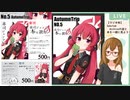 Sanctum Archiveの話と本を一緒に見よう！