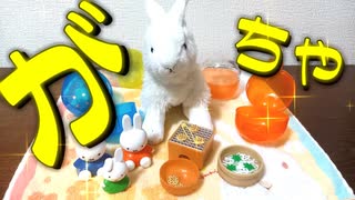 【がちゃがちゃ】かわいいがちゃがちゃ回してきたよ！