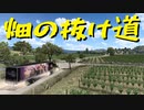 【American Truck Simulator】ペーパー歴10年が Ver.1.44 アップデートで新しくなったユーレカとユカイアの街を観光（#37）【実況プレイ】