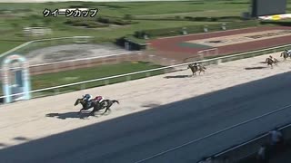 第46回クイーンカップ ドミニク