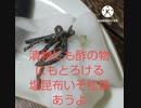 漬物にも酢の物にもとろける塩昆布いそ松葉あうよ信長は若い頃評価低かった漬物酢の物違ったうつけものですもの