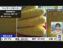 【高山奈々】とうもろこしリポートでなおこーんを思い出すコメント欄【高安奈緒子】