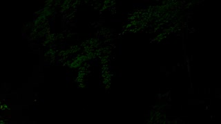 人気の 八王子 動画 363本 3 ニコニコ動画