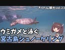 きりたん豪遊旅行23【ウミガメと泳ぐ宮古島⑤】