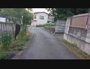 【秩父皆野編④】朝散歩