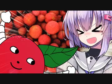 ヤマモモのジャム【VOICEROIDキッチン】