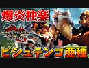 【爆松】ビシュテンゴ亜種の爆炎ベイブレードがヤバいｗｗ【サンブレイク】