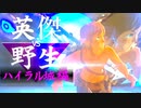 【実況】英傑 vs 野生｜ハイラル城編 後編 【ゼルダの伝説 ブレス オブ ザ ワイルド】