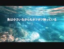 【渓流釣り】東伊豆でイワナに会いに行ったけど【静岡・白田川水系】