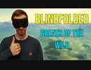 目隠しRTA ゼルダの伝説 ブレス オブ ザ ワイルドー 台地 in 37:51 Blindfolded Speedrun Bubzia