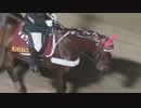 TCK誘導馬 ボンネビルレコード号の最終誘導