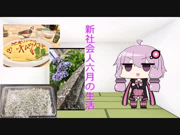 6月の生活