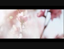 kemi「未練」MV