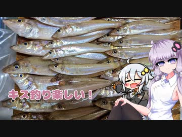 【VOICEROIDフィッシング】今日もキス釣り【チョイ投げ】
