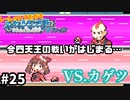 四天王戦の幕開け【ポケモンサファイア】＃25