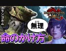 【実況】衝撃のラスト ガランゴルムとの激戦の末、音を置き去りにしてしまった。フィオレーネこれが「命」のかけ方だ【MHRISE:SUN BREAK】part3