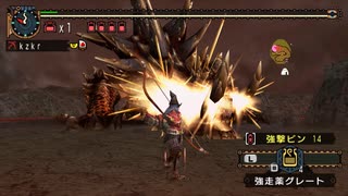 【MHP2g】覇王絶昂 アカムトルム ネコ火事場弓