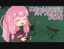 【ゼル伝BotW】茜ちゃんは休日にハイラルを歩く　9歩目【A.I.VOICE実況】