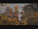【ELDEN RING実況】vs神肌の使徒 part38