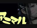 【虎千】アニマル踊ってみた