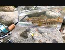 【渓流釣り】ルアーでもアマゴがたくさん釣れる川【静岡・河津川水系】