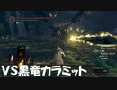 #135【ダークソウルリマスター】黒竜カラミットと初絡みっと初見プレイ-DARK SOULS REMASTERED-
