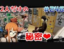【まったり実況】ペルソナ５ザ・ロイヤル　＃246【P5R】女実況者