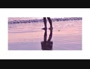飛んで火に入る夏の虫 cover / suzu