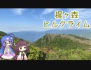【ロードバイク車載】音街ウナは四国を走りたいようです #18【梶ヶ森】