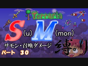 [ゆっくり実況]　S(u)M(mon)縛り　パート３０　[Terraria]