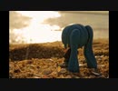 真夏の蒼とオレンジ